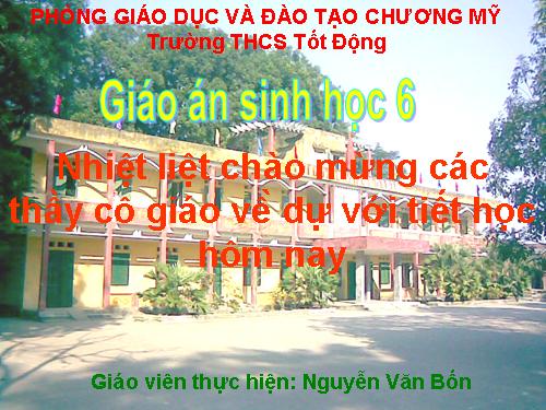 Bài 42. Lớp Hai lá mầm và lớp Một lá mầm