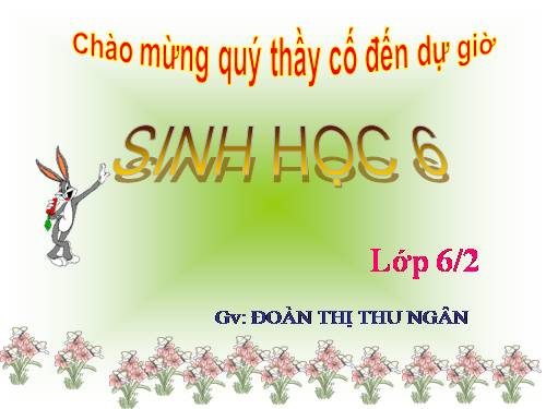 Bài 26. Sinh sản sinh dưỡng tự nhiên