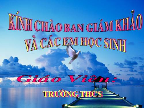 Bài 24. Phần lớn nước vào cây đi đâu?