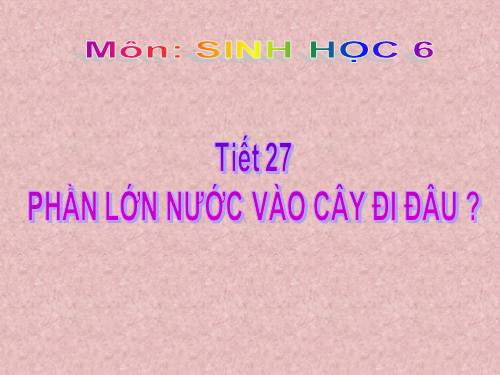 Bài 24. Phần lớn nước vào cây đi đâu?