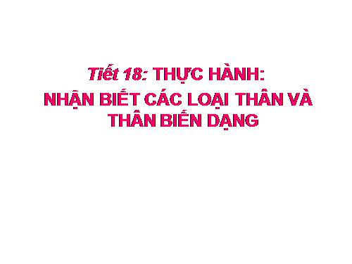 Bài 18. Biến dạng của thân