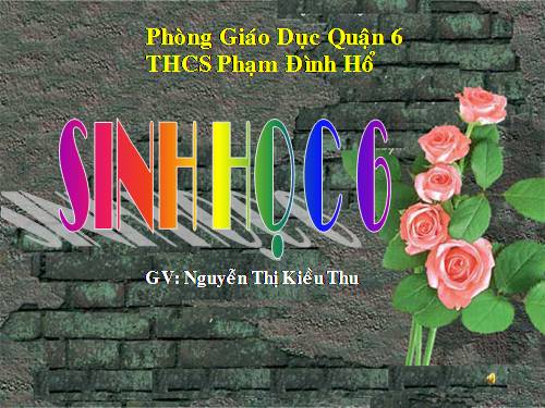 Bài 7. Cấu tạo tế bào thực vật