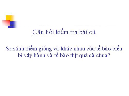 Bài 7. Cấu tạo tế bào thực vật