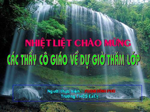 Bài 48. Vai trò của thực vật đối với động vật và đối với đời sống con người