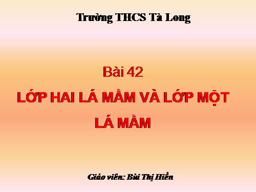 Bài 42. Lớp Hai lá mầm và lớp Một lá mầm