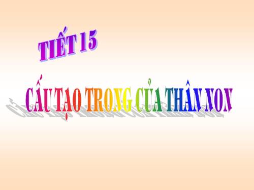 Bài 15. Cấu tạo trong của thân non