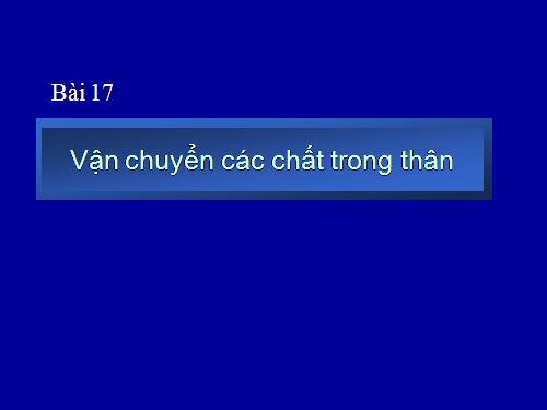 Bài 17. Vận chuyển các chất trong thân