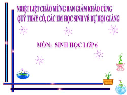 Bài 23. Cây có hô hấp không?