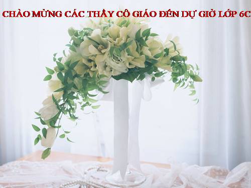 Bài 46. Thực vật góp phần điều hoà khí hậu