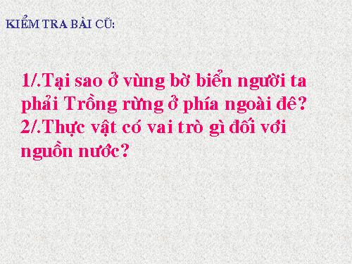 Bài 48. Vai trò của thực vật đối với động vật và đối với đời sống con người