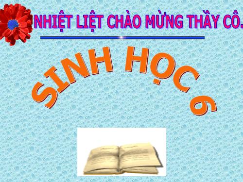 Bài 48. Vai trò của thực vật đối với động vật và đối với đời sống con người