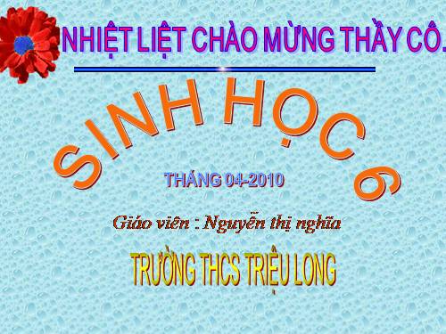 Bài 48. Vai trò của thực vật đối với động vật và đối với đời sống con người