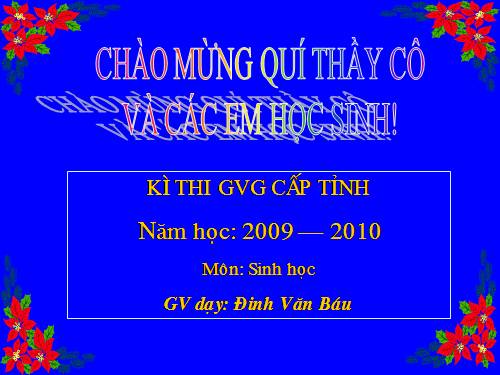 Bai day thi GVG tinh