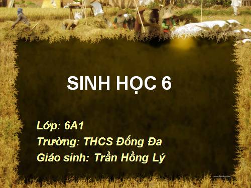 Bài 45. Nguồn gốc cây trồng