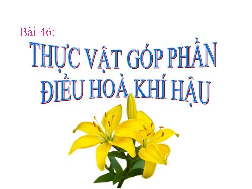 Bài 46. Thực vật góp phần điều hoà khí hậu