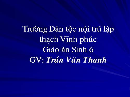 Bài 48. Vai trò của thực vật đối với động vật và đối với đời sống con người