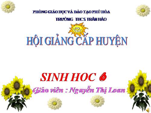 Bài 45. Nguồn gốc cây trồng