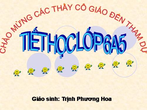 Bài 40. Hạt trần - Cây thông