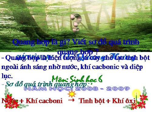 Bài 46. Thực vật góp phần điều hoà khí hậu