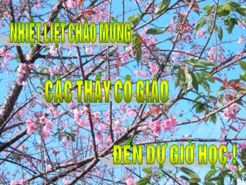 Bài 19. Đặc điểm bên ngoài của lá