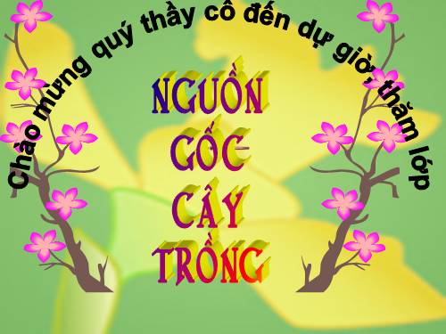 Bài 45. Nguồn gốc cây trồng