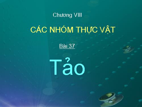 Bài 37. Tảo