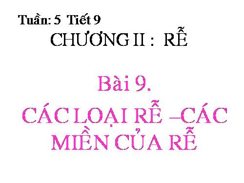 Bài 9. Các loại rễ, các miền của rễ