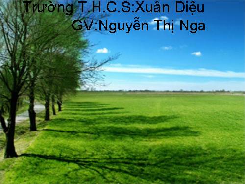 Bài 39. Quyết - Cây dương xỉ