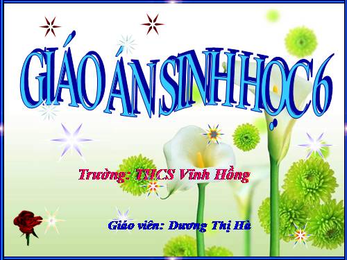 Bài 22. Ảnh hưởng của các điều kiện bên ngoài đến quang hợp, ý nghĩa của quang hợp