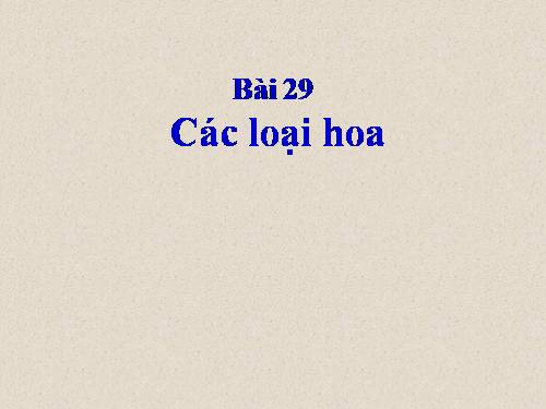 Bài 29. Các loại hoa