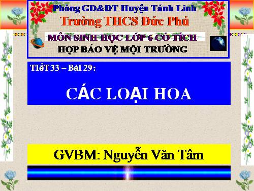 Bài 29. Các loại hoa