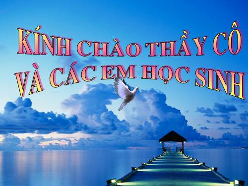 Bài 17. Vận chuyển các chất trong thân