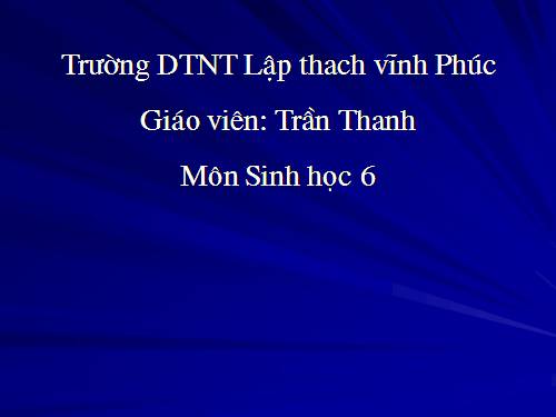 Bài 15. Cấu tạo trong của thân non