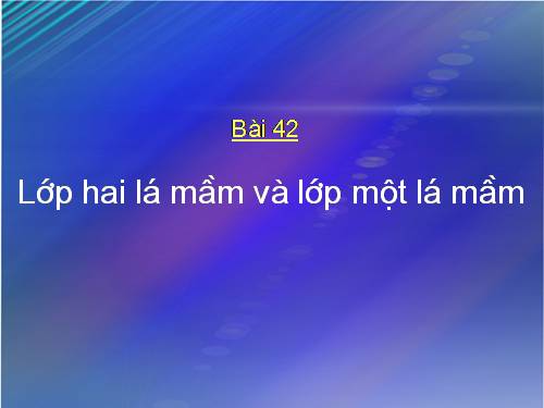 Bài 42. Lớp Hai lá mầm và lớp Một lá mầm