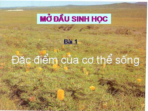 Bài 1. Đặc điểm của cơ thế sống