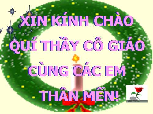 Bài 15. Cấu tạo trong của thân non