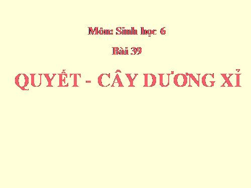 Bài 39. Quyết - Cây dương xỉ