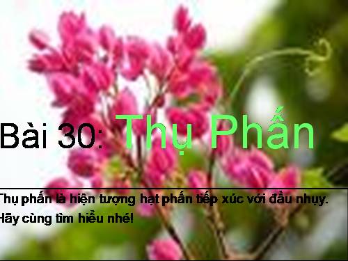 Bài 30. Thụ phấn