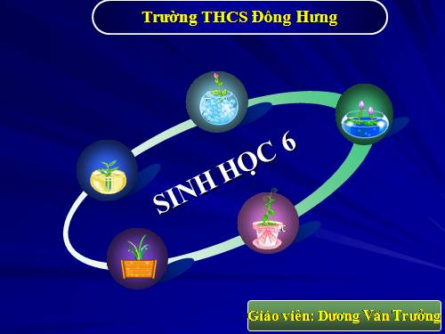 Bài 33. Hạt và các bộ phận của hạt