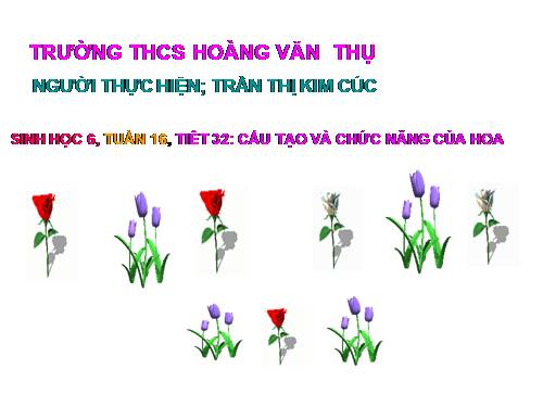 Bài 28. Cấu tạo và chức năng của hoa