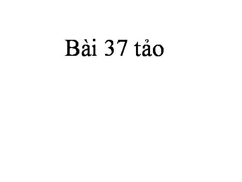 Bài 37. Tảo