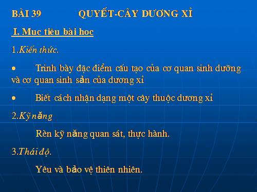 Bài 39. Quyết - Cây dương xỉ