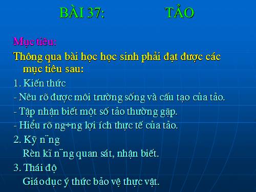 Bài 37. Tảo