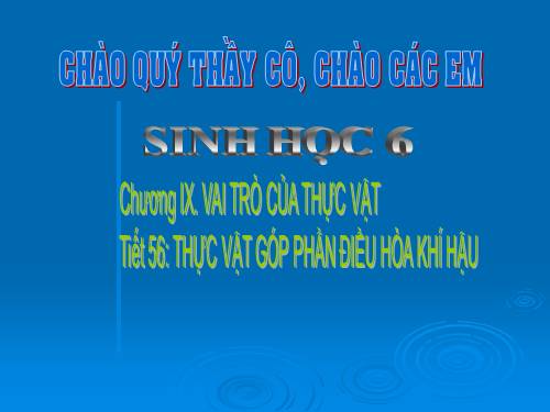 thực vật