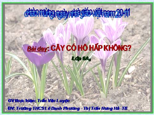 Bài 23. Cây có hô hấp không?