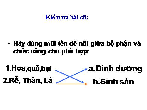 Bài 26. Sinh sản sinh dưỡng tự nhiên