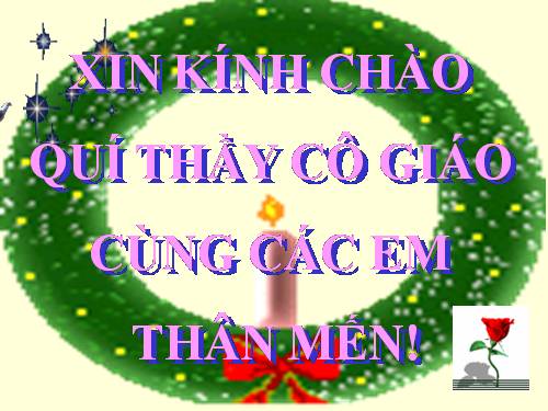 Bài 15. Cấu tạo trong của thân non