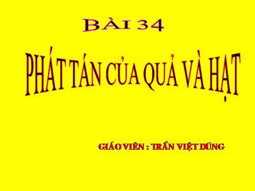 Bài 34. Phát tán của quả và hạt