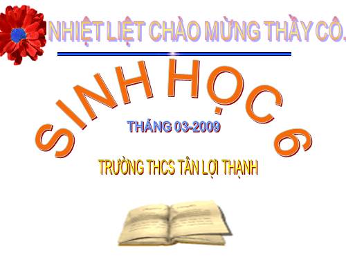 Bài 47. Thực vật bảo vệ đất và nguồn nước