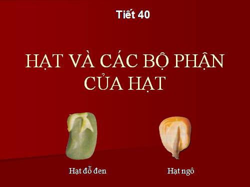 Bài 33. Hạt và các bộ phận của hạt